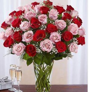 Meet your Posher, Quynh